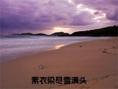 畅读精品正版（祁烬明岚）素衣染尽雪满头：+后续全本完整+后续+结局在线阅读