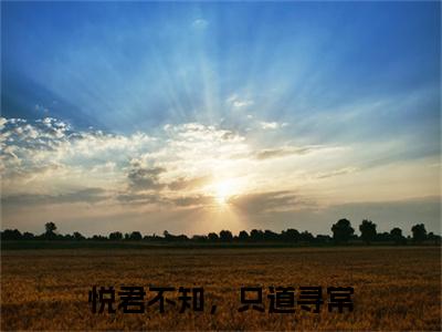 悦君不知，只道寻常陆景川林悦续集起点章节+全书阅读（陆景川林悦）书荒必看