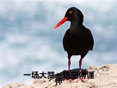 （一场大梦一场空傅谨怀）一场大梦一场空傅谨怀小说(纪黛宁傅谨怀)整书在线无广告高口碑小说