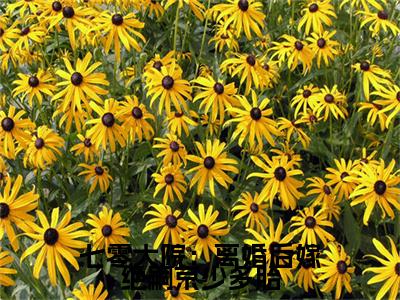 前传宋璃陆泽野续集(宋璃陆泽野)终章阅读极简（宋璃陆泽野）