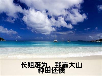 长姐难为，我靠大山种田还债小说(宋芷周修成)外篇+结局（长姐难为，我靠大山种田还债）全篇在线阅读