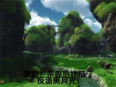 哦豁！杀疯后她成了反派黑月光！番外（叶邢舒赵翊宁）TXT+后续+结局在线阅读