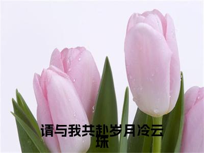 电子书+番外篇章+（请与我共赴岁月冷云珠）免费版在线阅读