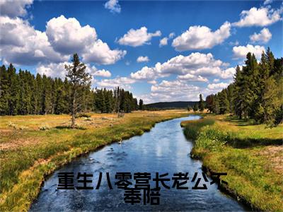 重生八零营长老公不奉陪续集(重生八零营长老公不奉陪)终极反转（苏凛川顾晚宁）全篇一口气阅读