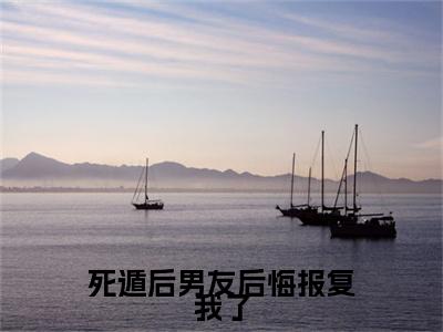 宋绵周屿白死遁后男友后悔报复我了：结局+番外免费品鉴+全书阅读（宋绵周屿白）最新连载