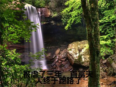最新章节（林霏霏谢宇阳）被虐了三年，首富夫人终于跑路了：结局+番外精品选集附加章节列表
