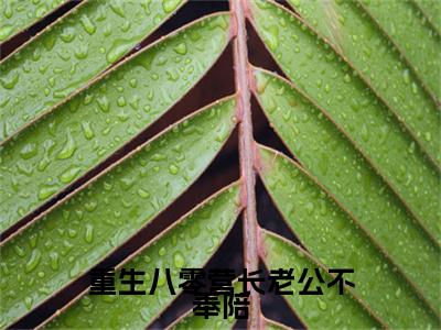 重生八零营长老公不奉陪苏凛川顾晚宁续集（苏凛川顾晚宁）章节在线阅读最近章节