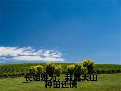 宋芷周修成(长姐难为，我靠大山种田还债)整本+后续+（宋芷周修成）结局在线阅读