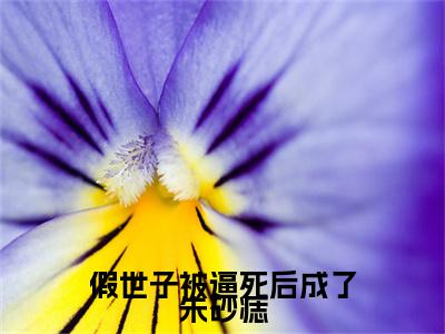 慕容玦南晚棠电子书+番外篇章+（假世子被逼死后成了朱砂痣）免费版在线阅读