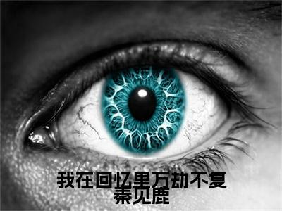 终章小说谢梵声秦见鹿我在回忆里万劫不复秦见鹿小说(谢梵声秦见鹿)已更新+番外篇章（我在回忆里万劫不复秦见鹿）无广告