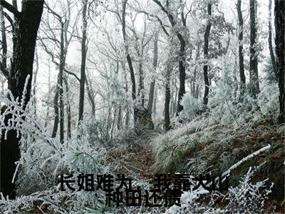 宋芷周修成续集（长姐难为，我靠大山种田还债）章节在线阅读最近章节