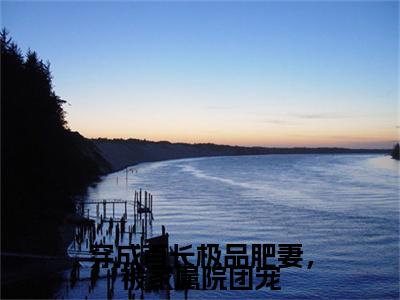 李晴天是什么小说(穿成首长极品肥妻，被家属院团宠)（李晴天）全本完整清爽版在线+无广告结局
