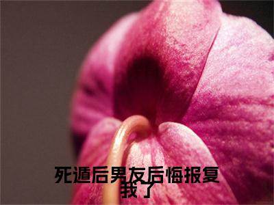 宋绵周屿白小说(死遁后男友后悔报复我了)章节目录+起始篇章（宋绵周屿白）全章无套路在线