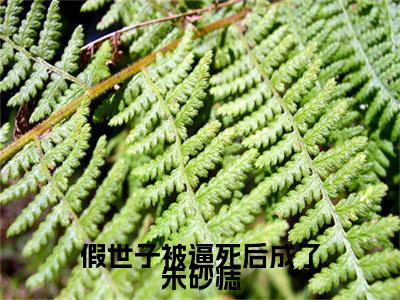 慕容玦南晚棠小说(慕容玦南晚棠)（假世子被逼死后成了朱砂痣）前传+阅读全新作品预订
