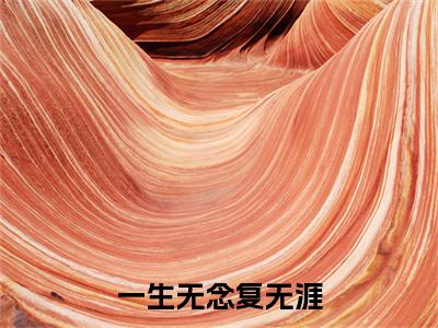 一生无念复无涯：结局+番外（林辞裴启承）电子书畅享阅读无广告