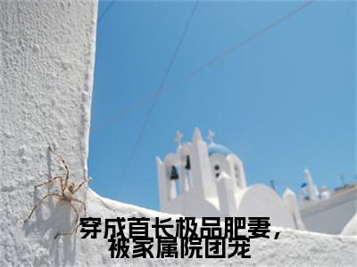 穿成首长极品肥妻，被家属院团宠小说(穿成首长极品肥妻，被家属院团宠)终章+番外（李晴天）一口气阅读