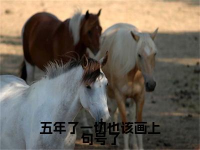（头条）五年了一切也该画上句号了小说(温知夏谢清野)整本免费版阅读无广告（五年了一切也该画上句号了）