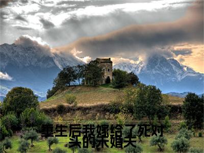 司妤柠卫闻璟小说全文免费阅读（重生后我嫁给了死对头的未婚夫）全文免费阅读无弹窗_司妤柠卫闻璟小说全文免费阅读_笔趣阁