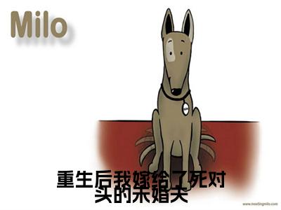 （司妤柠卫闻璟）重生后我嫁给了死对头的未婚夫最终篇章(重生后我嫁给了死对头的未婚夫)全书在线无广告高口碑小说