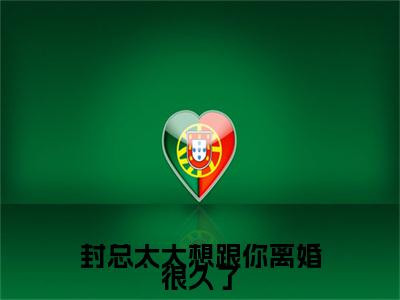 热文推荐容辞封庭深小说（封总太太想跟你离婚很久了）前传列表