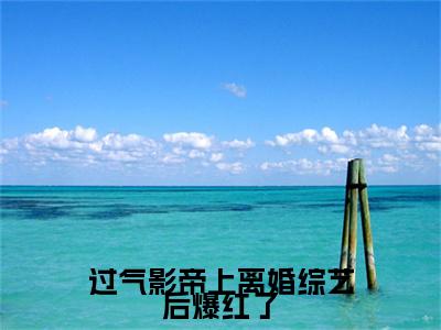 最新章节（过气影帝上离婚综艺后爆红了）沈岁柠秦琛：结局+番外精品选集附加章节列表