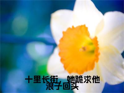 热文推荐林岁窈陆厌辞:全文+番外（十里长街，她跪求他浪子回头）书荒必看列表
