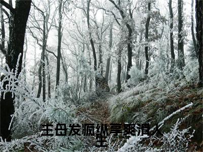 （书荒必看）宋文君顾怀舟小说(主母发疯纵享爽滑人生)无删减在线下载阅读最终终章