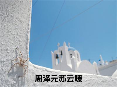 热文推荐周泽元苏云暖小说（苏云暖周泽元）前传列表