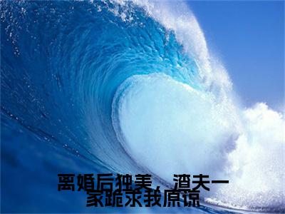 终章小说邱泽林静文完结篇(离婚后独美，渣夫一家跪求我原谅)已更新+延伸（邱泽林静文）清爽版