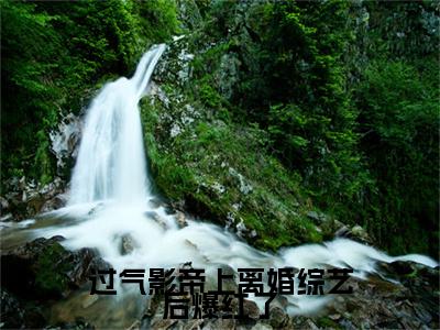热文推荐过气影帝上离婚综艺后爆红了沈岁柠秦琛小说大结局（沈岁柠秦琛）书荒必看列表