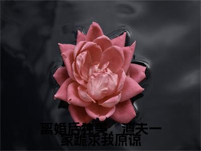 离婚后独美，渣夫一家跪求我原谅邱泽林静文：+后续+番外+附加（邱泽林静文）清爽版阅读