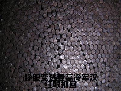 新章速递睁眼变逃妻高冷军汉红眼抓回小说小说结尾阅读无广告（沈清欢冯炽）