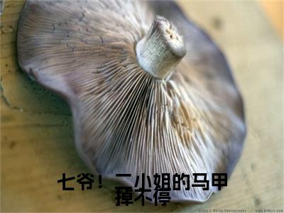 七爷！二小姐的马甲掉不停：+后续人物讨喜无套路全集顾彦秋叶辞卿