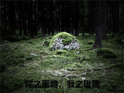 乔诗蔓顾寒川小说（你之蜜糖，我之砒霜）+后续+结局在线阅读