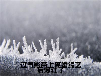 热文推荐沈岁柠秦琛小说大结局（过气影帝上离婚综艺后爆红了）书荒必看列表