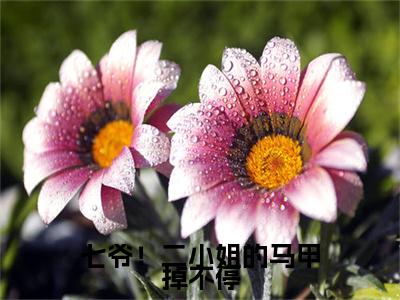 顾彦秋叶辞卿小说完整在线阅读（七爷！二小姐的马甲掉不停）前传列表