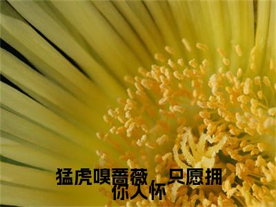 猛虎嗅蔷薇，只愿拥你入怀完结篇(泰格严流云)（泰格严流云）全书无套路阅读无广告小说大结局