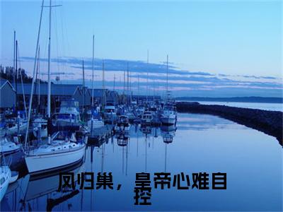 凤归巢，皇帝心难自控林尽欢：+后续+番外+附加（林尽欢）清爽版阅读
