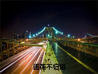 独家逐花不归海：结局+番外评价五颗星 （逐花不归海）TXT免费版阅读