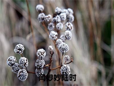 闫妙妙陆时小说(陆时闫妙妙)全文+后续（闫妙妙陆时）畅享阅读