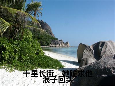 林岁窈陆厌辞小说完结篇(十里长街，她跪求他浪子回头)（林岁窈陆厌辞）全书无套路阅读无广告小说大结局
