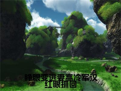 高分_沈清欢冯炽(睁眼变逃妻高冷军汉红眼抓回)（沈清欢冯炽）全本完整阅读