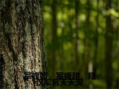 军嫂娇，军嫂甜，糙汉军官天天宠：结局+番外免费品鉴（宋岑月傅忠焜）整本畅享在线+无广告结局