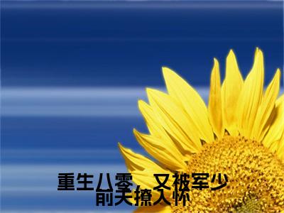 重生八零，又被军少前夫撩入怀(裴城简婉婉)：结局+番外评价五颗星