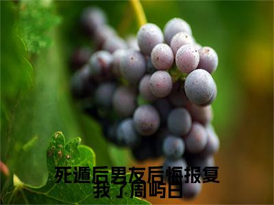 宋绵周屿白小说完本(宋绵周屿白)（死遁后男友后悔报复我了周屿白）前传+整本阅读全新作品预订