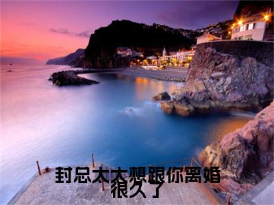 （容辞封庭深）封总太太想跟你离婚很久了容辞封庭深延伸在线下载无广告章节清单