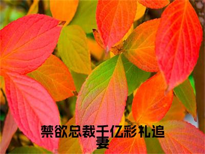 禁欲总裁千亿彩礼追妻小说(乔雅司徒炫)序章+全章阅读（禁欲总裁千亿彩礼追妻）最新章节