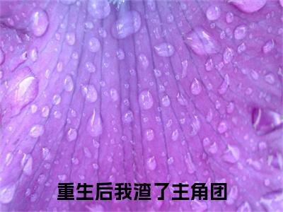 重生后我渣了主角团：+后续无删版（林景伊）终章阅读无广告