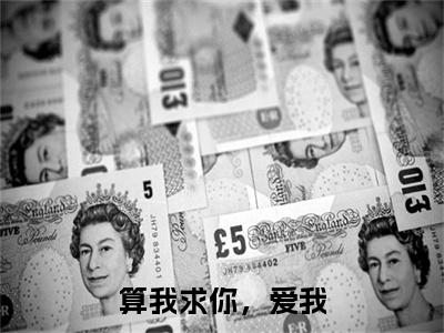 算我求你，爱我小说完结篇(姜软软段辞)（算我求你，爱我）全书无套路阅读无广告小说大结局