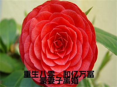 高分_重生八零，和亿万富豪妻子离婚小说(秦语棠徐牧舟)（重生八零，和亿万富豪妻子离婚）全本完整阅读